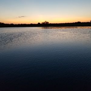 Meet your Posher, Carmela